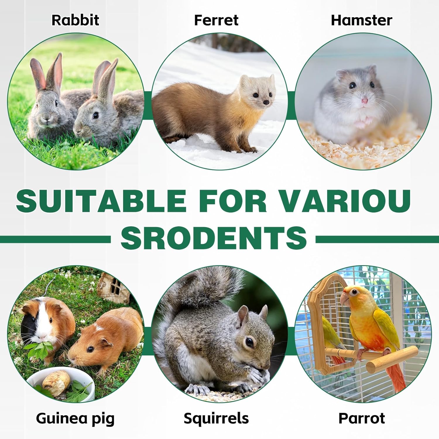 Salcod 42 oz Rabbit Water Bottle, No Drip Bunny Water Dispenser for Rabbits, Hamster, Guinea Pigs, Ferrets, Birds, Mouse, Rats, Other Small Animal Pet No Leak Easy Mount Drinker