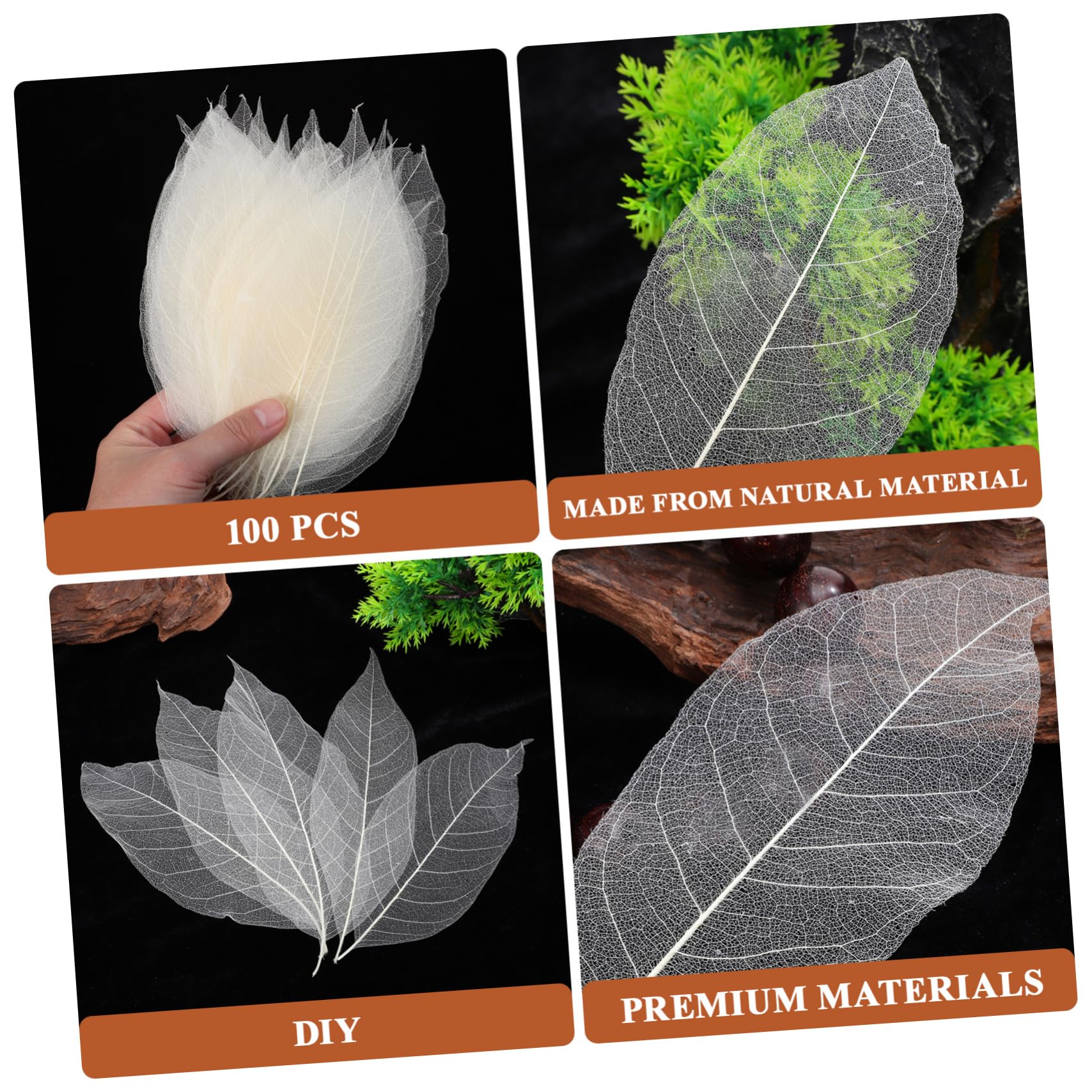 Spécimen de Feuilles Séchées Naturelles 100 Pcs, Blanc | Matériaux de Bricolage Faits Main, Feuilles Blanches Résistantes, pour Création Artistique et Fêtes