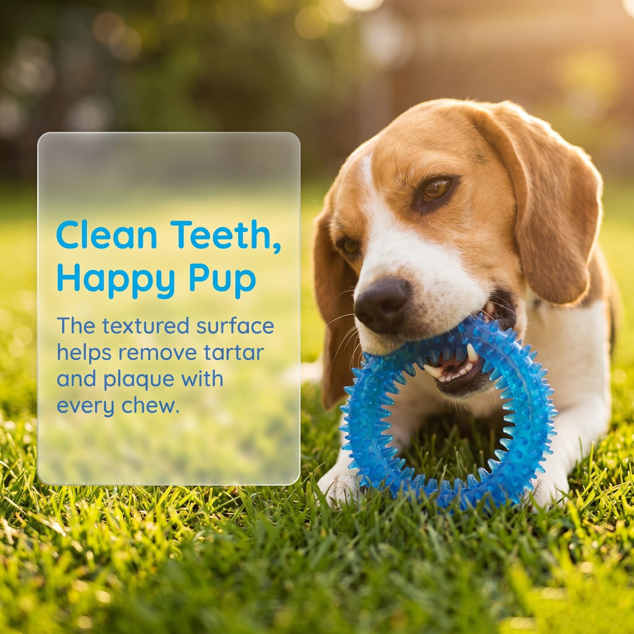 Beiker Paquete de 20 Juguetes masticables para Cachorros, Juguetes de dentición Azules para Cachorros, Juguetes para Cachorros, Anillos de dentición y Cuerdas duraderas, Paquete de Juguetes de Goma