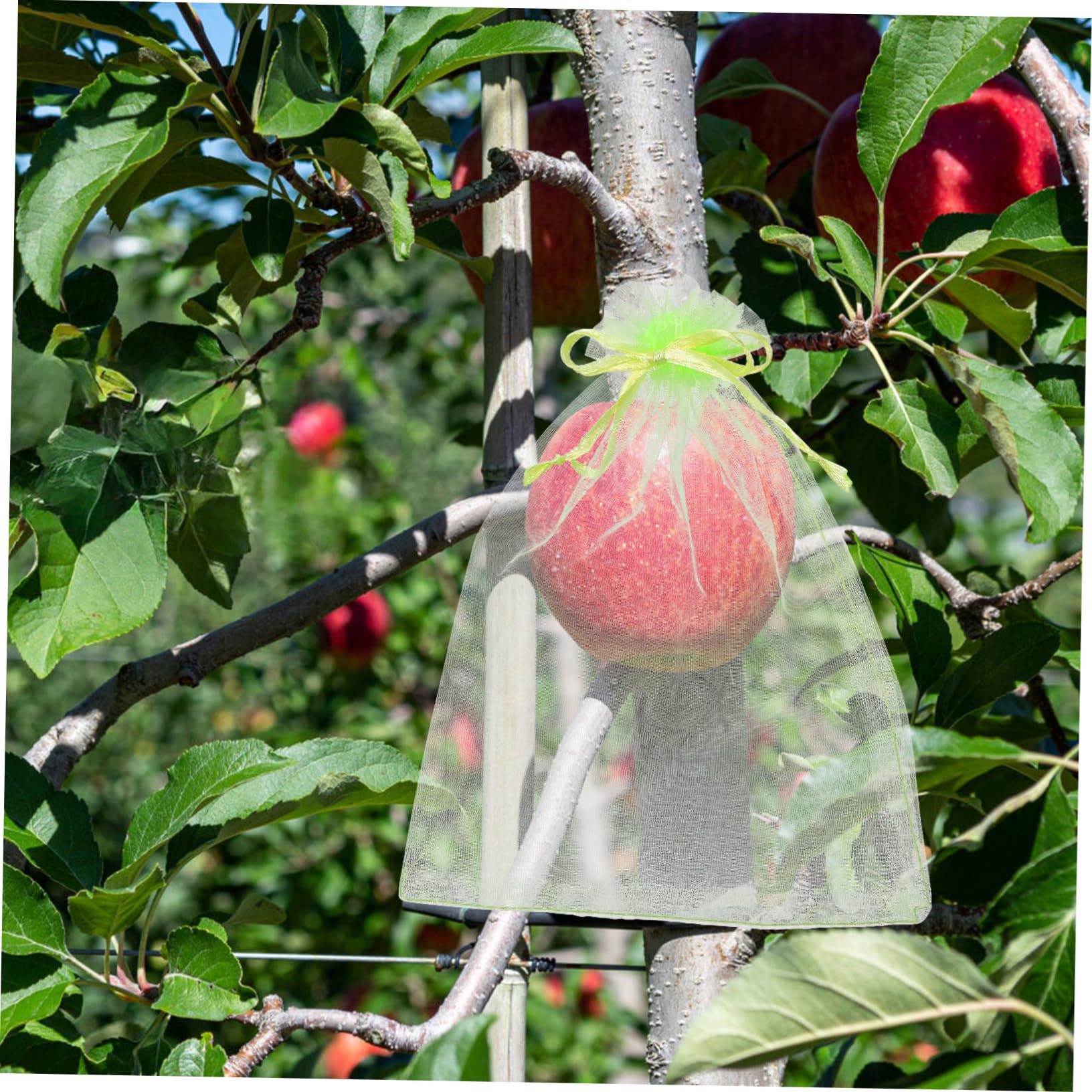 BESPORTBLE 500pièces Filets De pour Fruits Et Légumes Maille Anti-Oiseaux Et Anti-Insectes pour Jardin pour Protéger Vos Récoltes