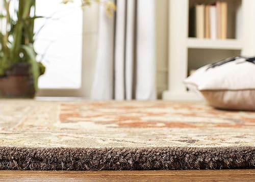 Miniatura 5 de SAFAVIEH Anatolia Collection - Alfombra de área de 8 x 10 pies, óxido y verde, hecho a mano, lana oriental tradicional, ideal para zonas de alto