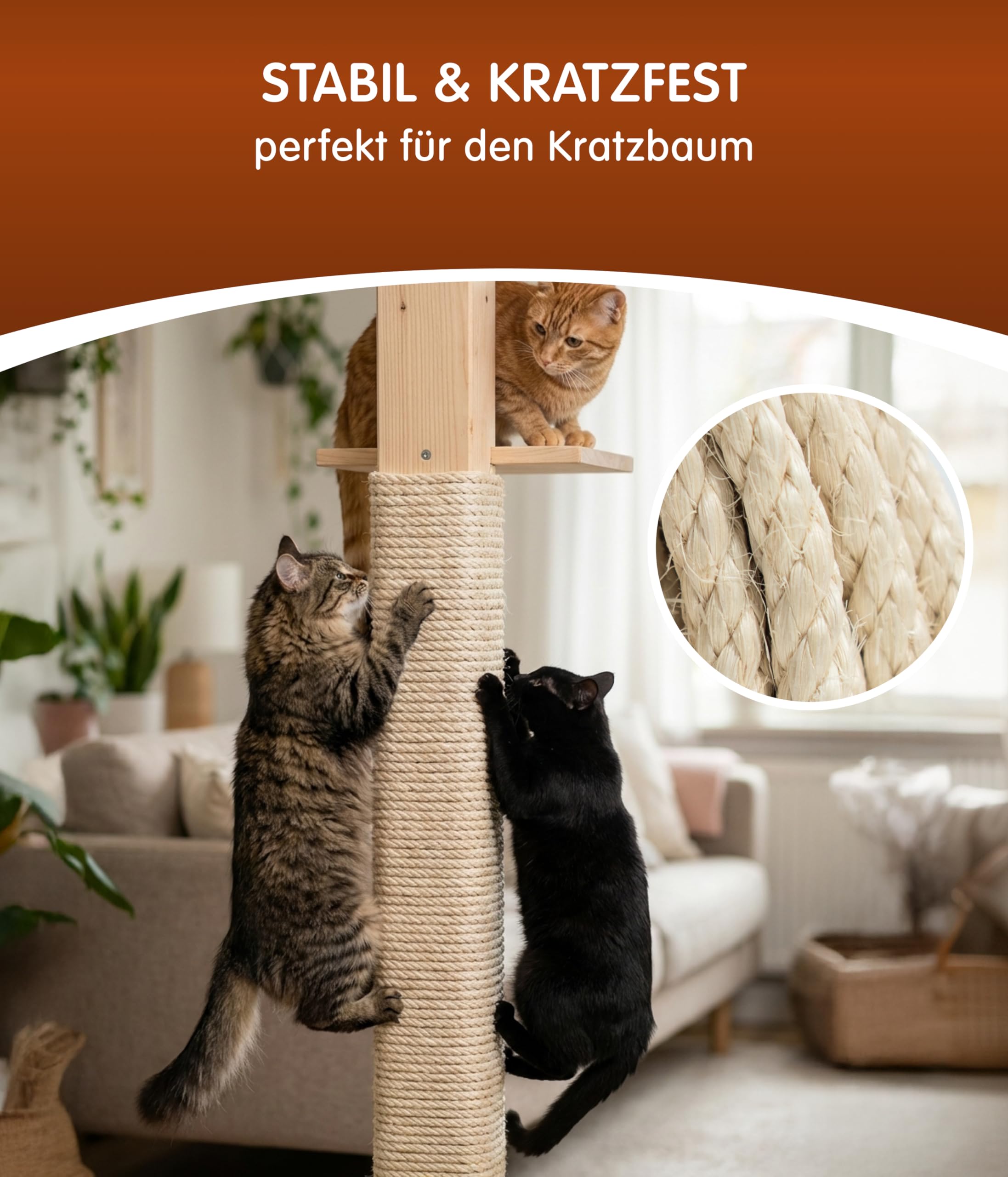 Seil-Shop Sisalseil Kratzbaumseil 6/8/10mm - versch. Längen, 100% Naturprodukt - ohne Zusatzstoffe SPITZENQUALITÄT Sisal Schnur für Kratzbaum (6mm - 220m)