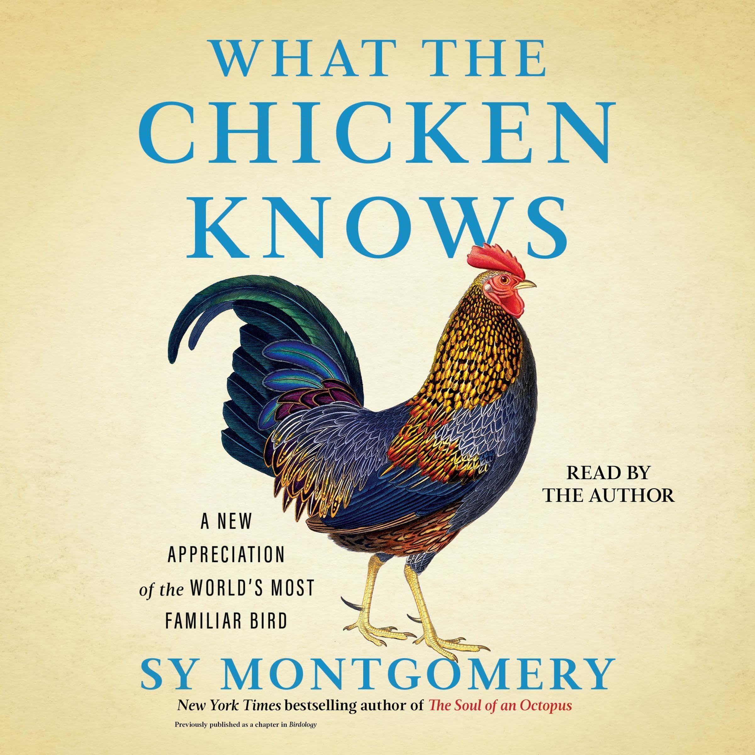 Cover art for What the Chicken Knows