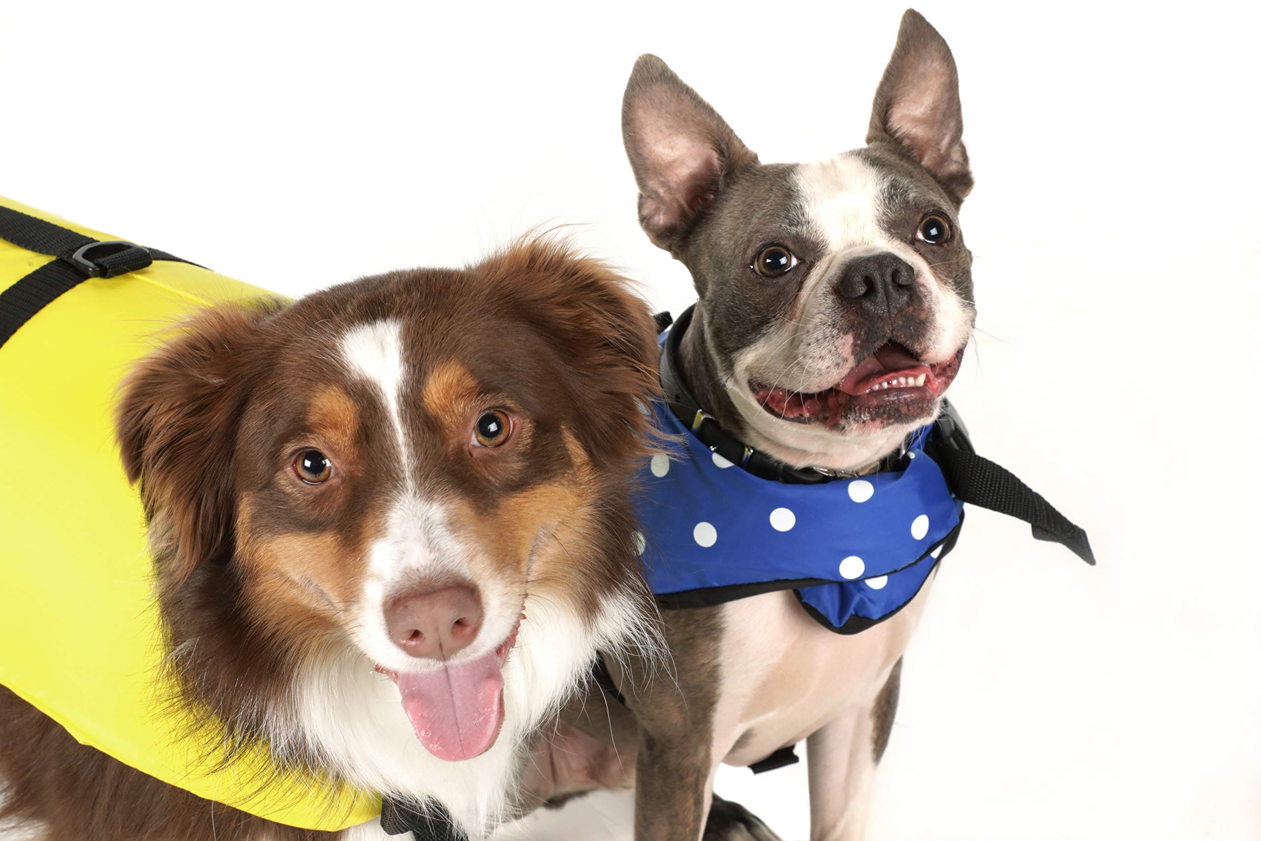 Gilet de sauvetage pour chiens Seachoice