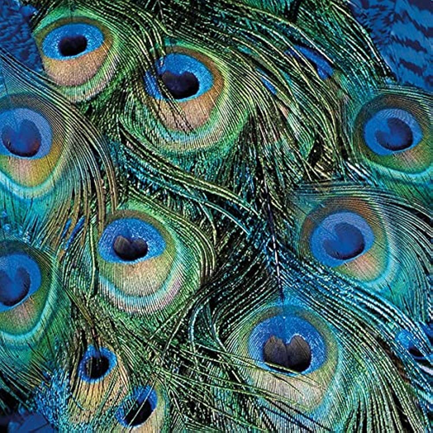 Ambiente 3 Ply Paper Napkins Peacock Feathers