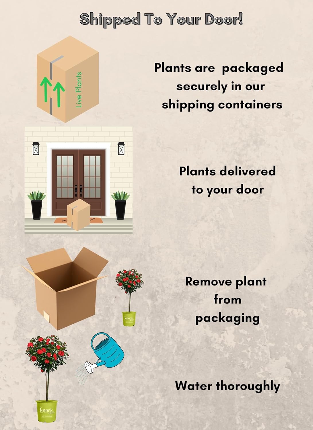 Knock Out 3 Gal. Double Red Rose Shrub