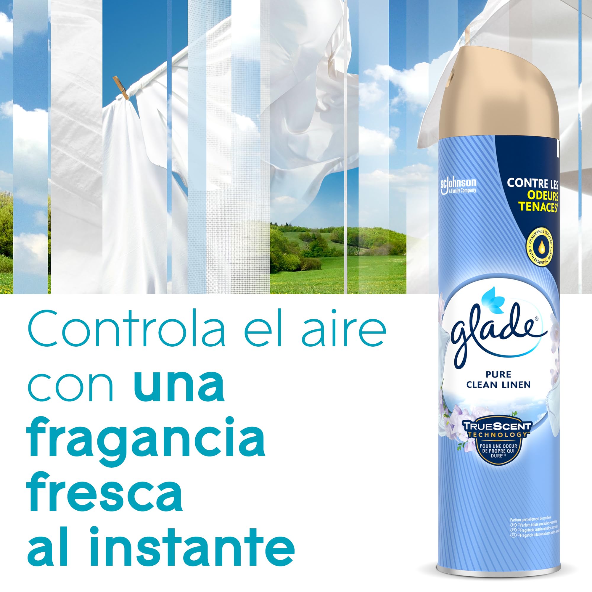 Glade - Ambientador Aerosol, eliminación de malos olores, hasta 7 horas de fragancia Relax Zen, con aceites esenciales, 1 unidad - 300ml (El embalaje puede variar)
