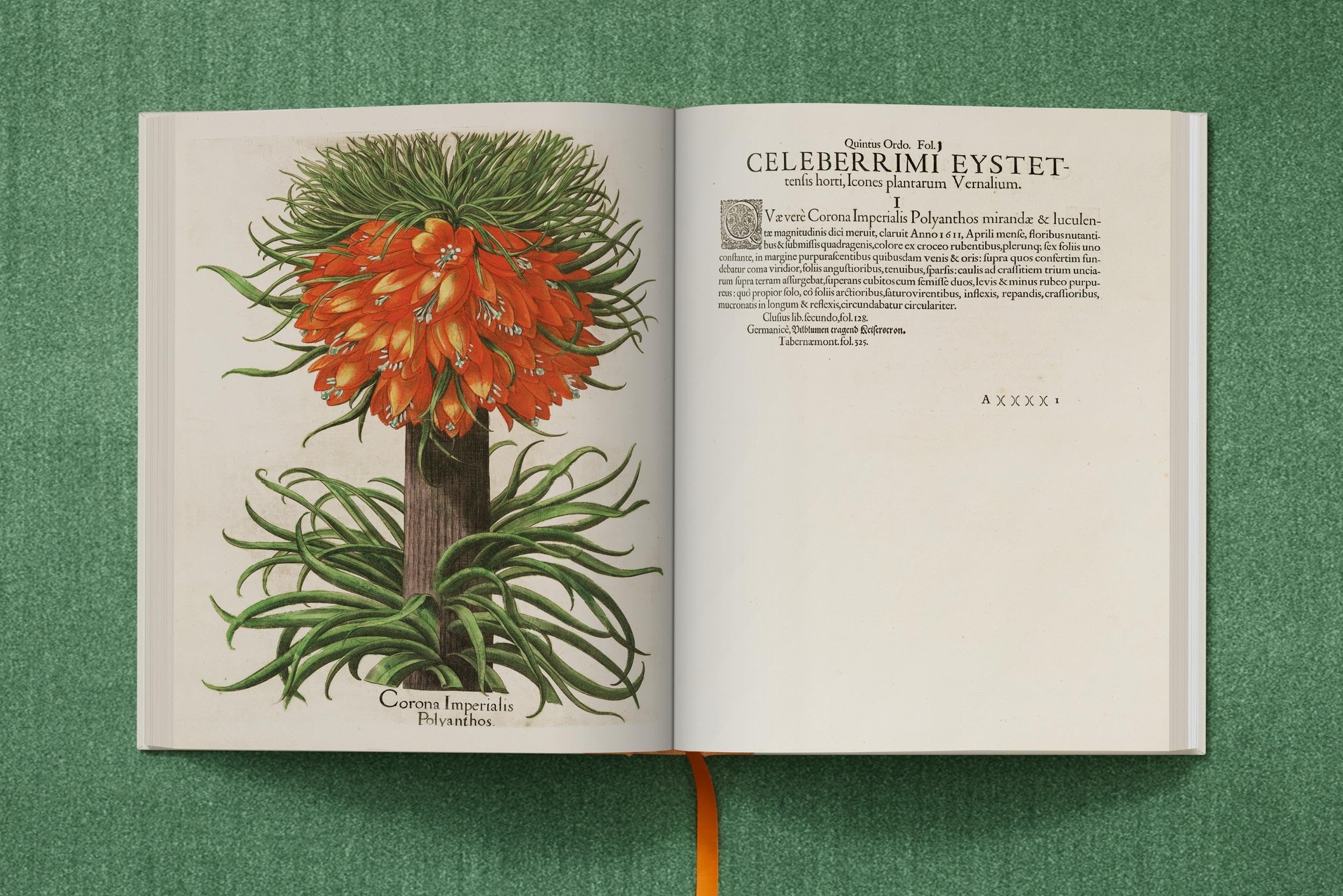 Basilius Besler: The Garden at Eichstätt: 1-3