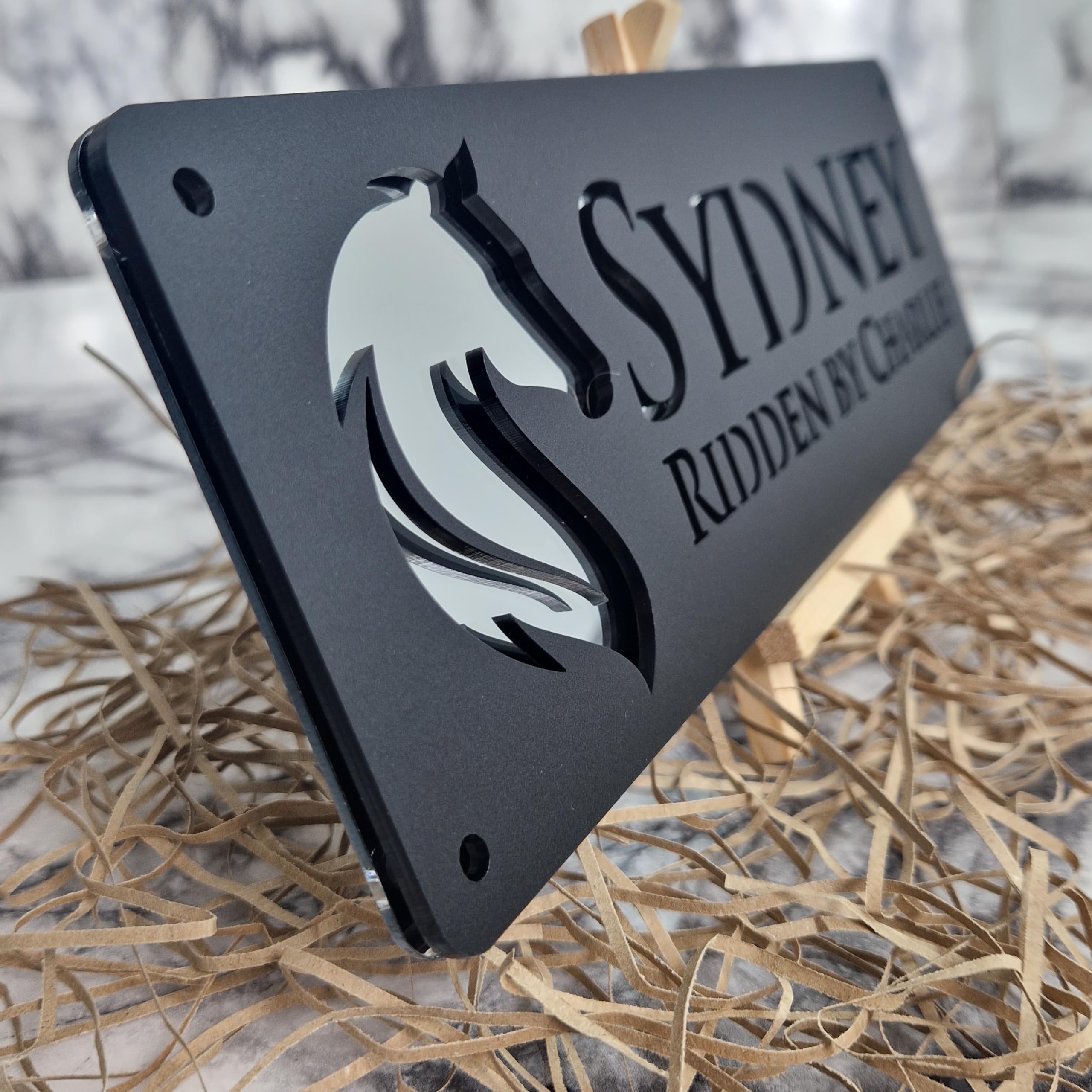 Silver Mirror and Black Personalised Horse stable Pony laser cut name door plate sign (L6-Elegant Head)