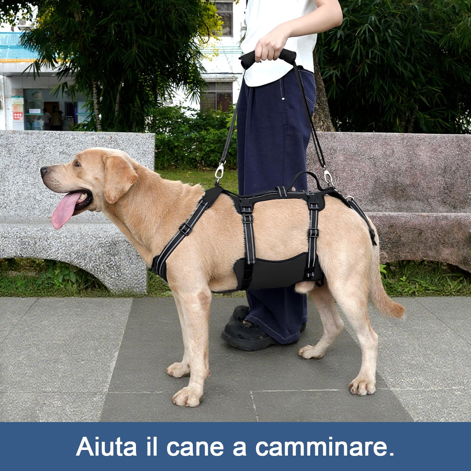 Coodeo Imbracatura per Cani, Supporto Completo e Fodera di Recupero, Regolabile con Cinghie Traspiranti per Cani Anziani, Disabili, con Artrite e Paralisi, aiuto per Camminare (Nero, L)