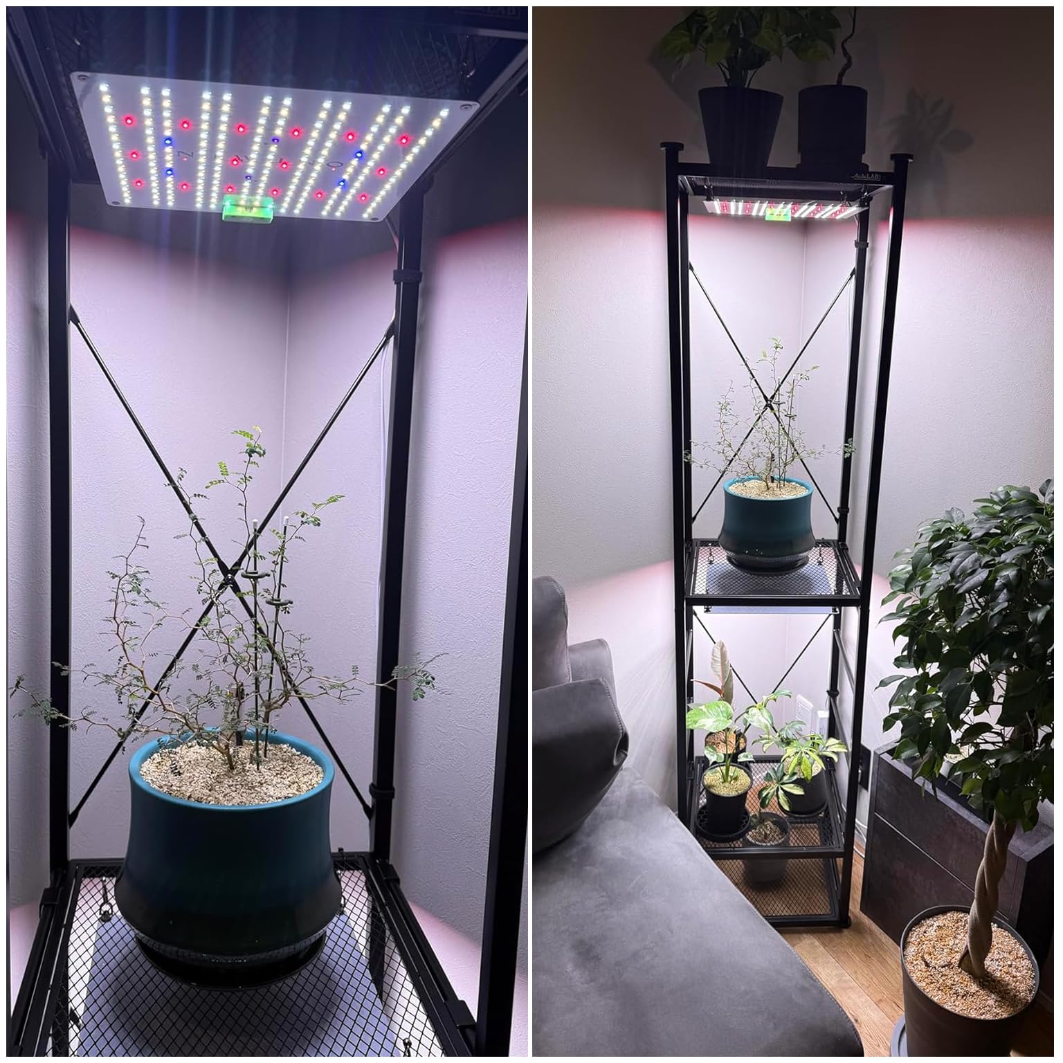 Amazon.co.jp: Niwuno （ニウノ）植物育成ライト パネル式 LEDライト