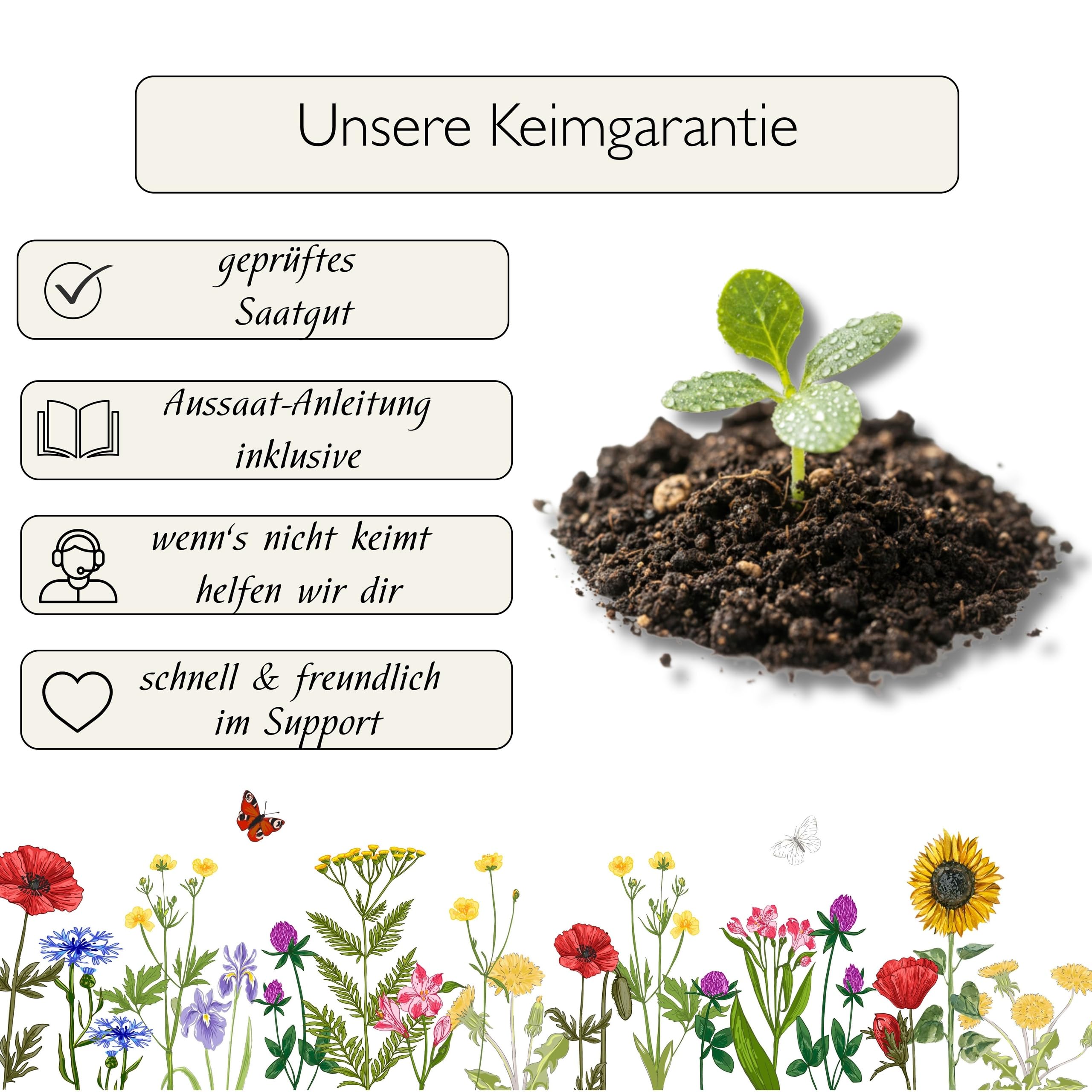 Blumenwiese mit 65 Wildkräuterarten, fünfjährige Bienenweide, insektenfreundliche Blühwiese, wilde mehrjährige winterharte Samenmischung für Bienen Hummeln und Schmetterlinge, Blumenwiesen (20qm)