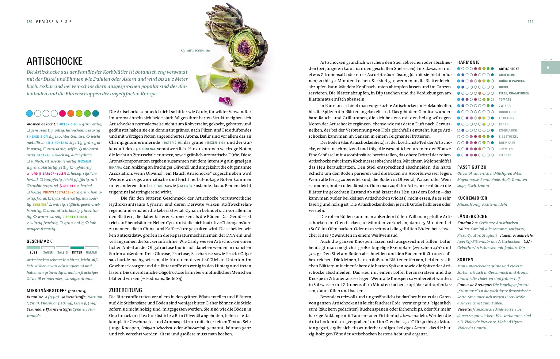 Aroma Gemüse - Kulinarischer Leitfaden für innovative Gerichte & moderne Gemüseküche mit einfachen Rezepten und Saisonkalender: Der Weg zum perfekten Geschmack