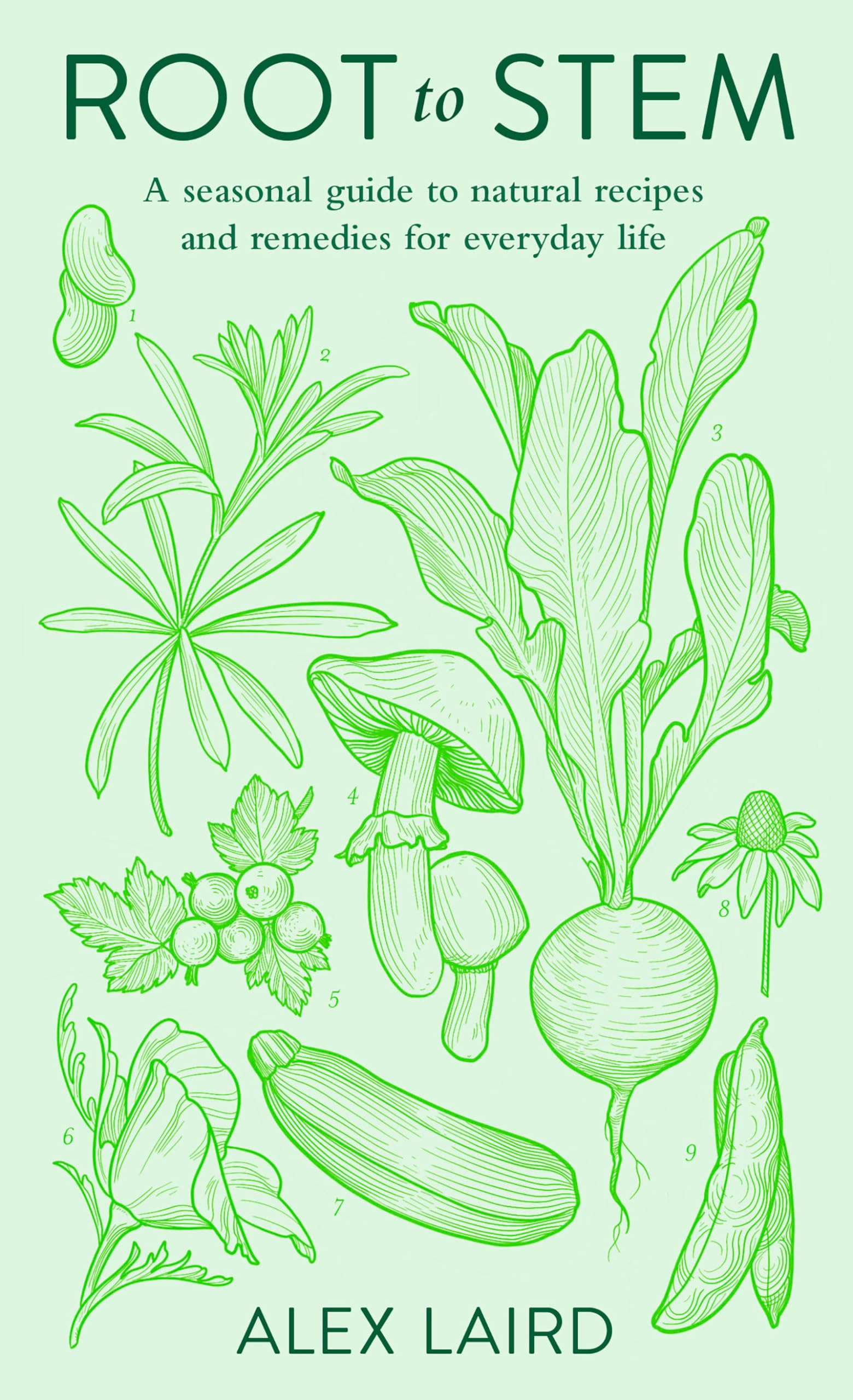 Root to Stem A seasonal guide to natural recipes and  by Alex Laird HARDBACK