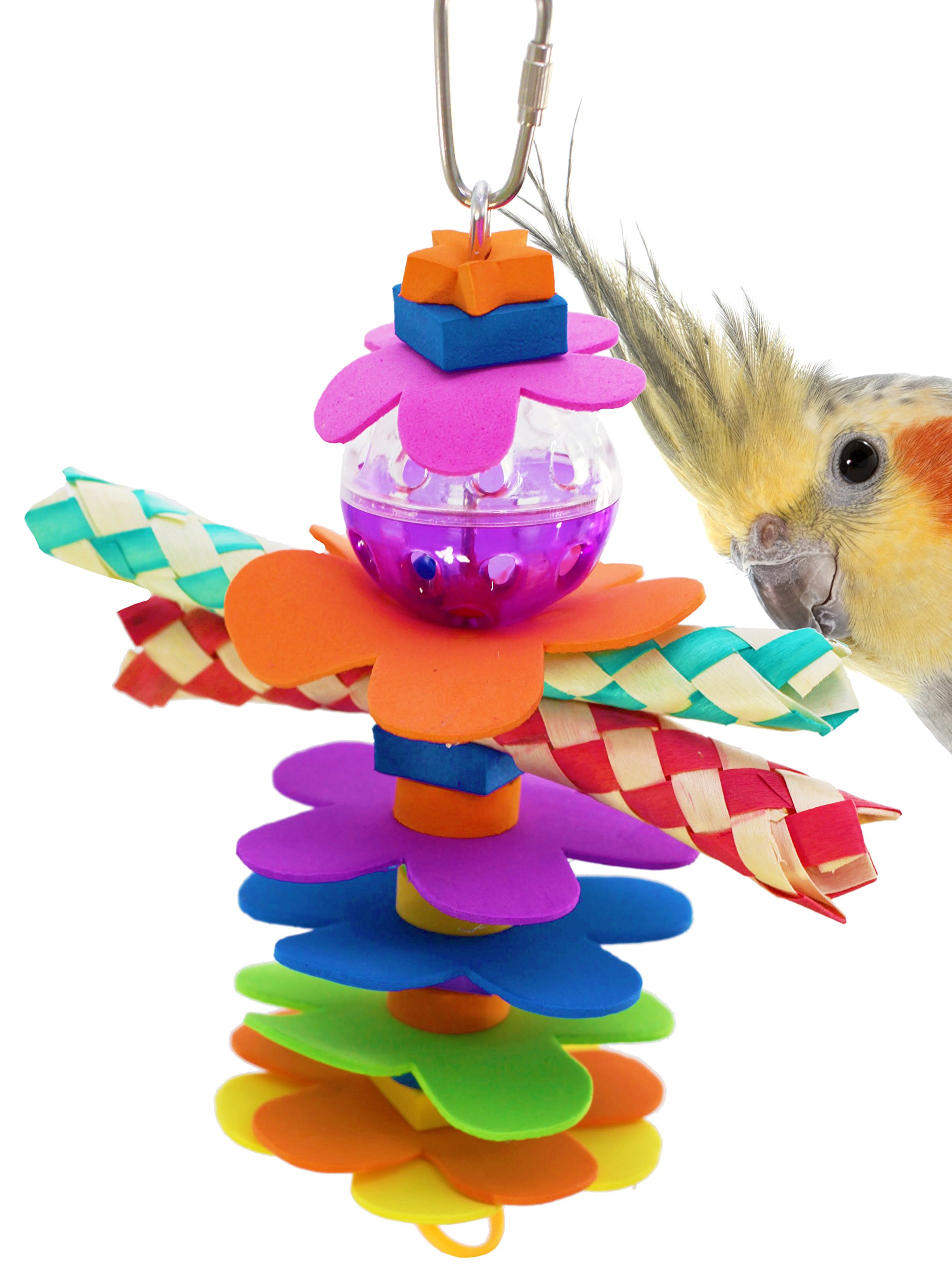10 Best Parrotlet Bird Jewelry Top Picks Hummingbirds Plus
