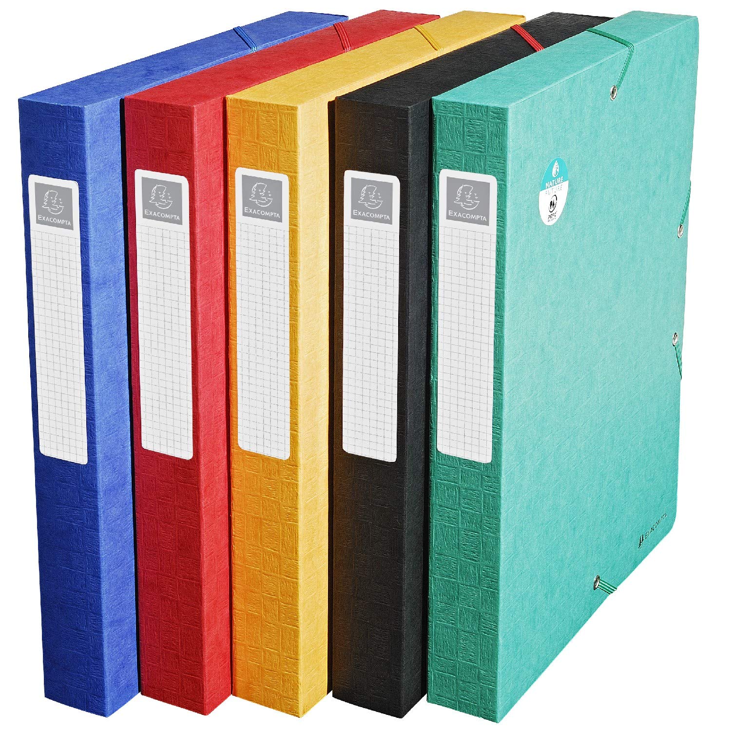 Exacompta 10 scatole archivio Scotten A4 dorso 4 cm assortite