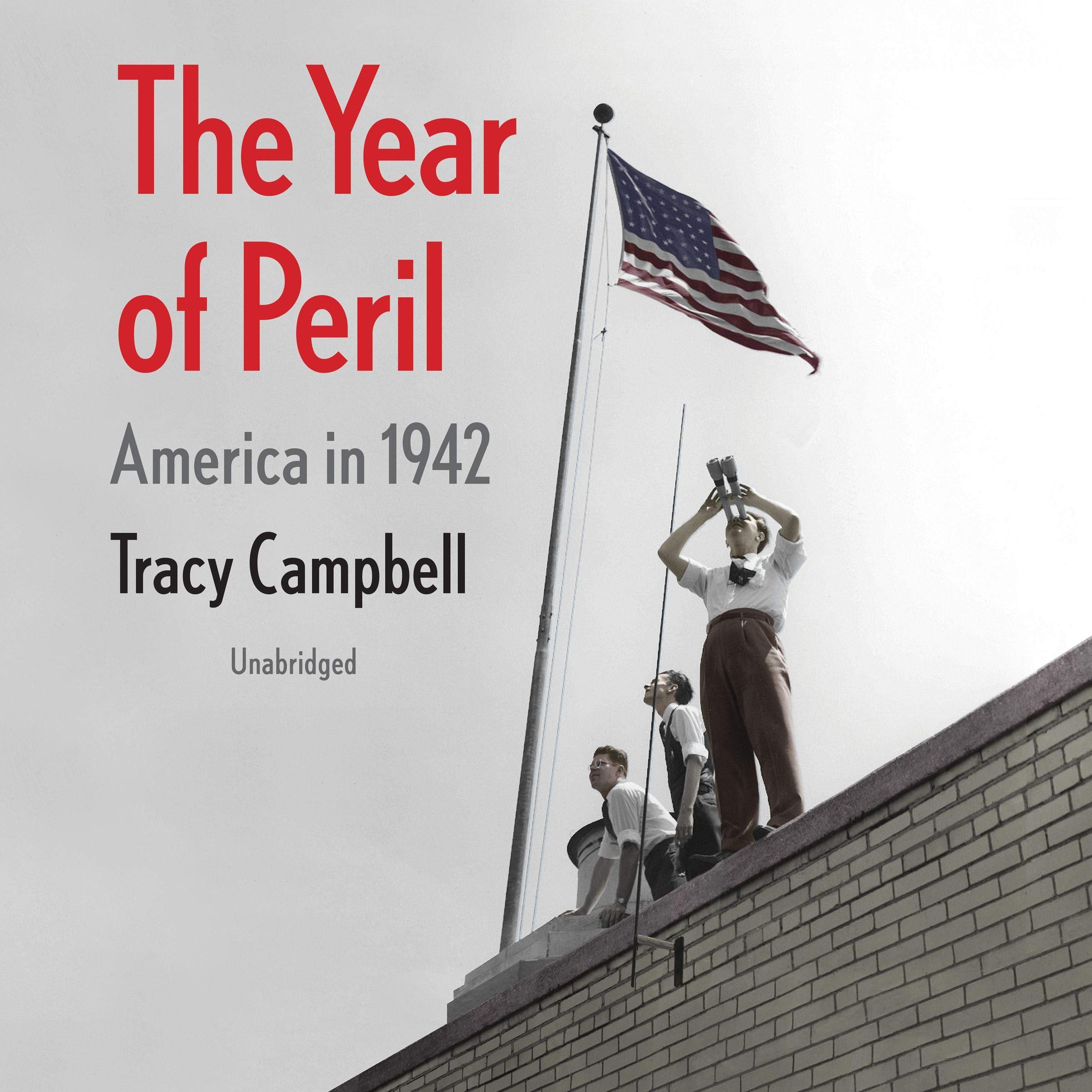 Cover art for The Year of Peril