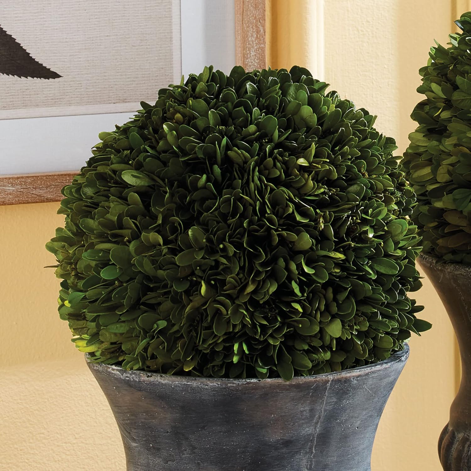 MY SWANKY HOME 8 12 16 in Topiary Ball Hanging Preserved Boxwood Greenery Faux Floral English