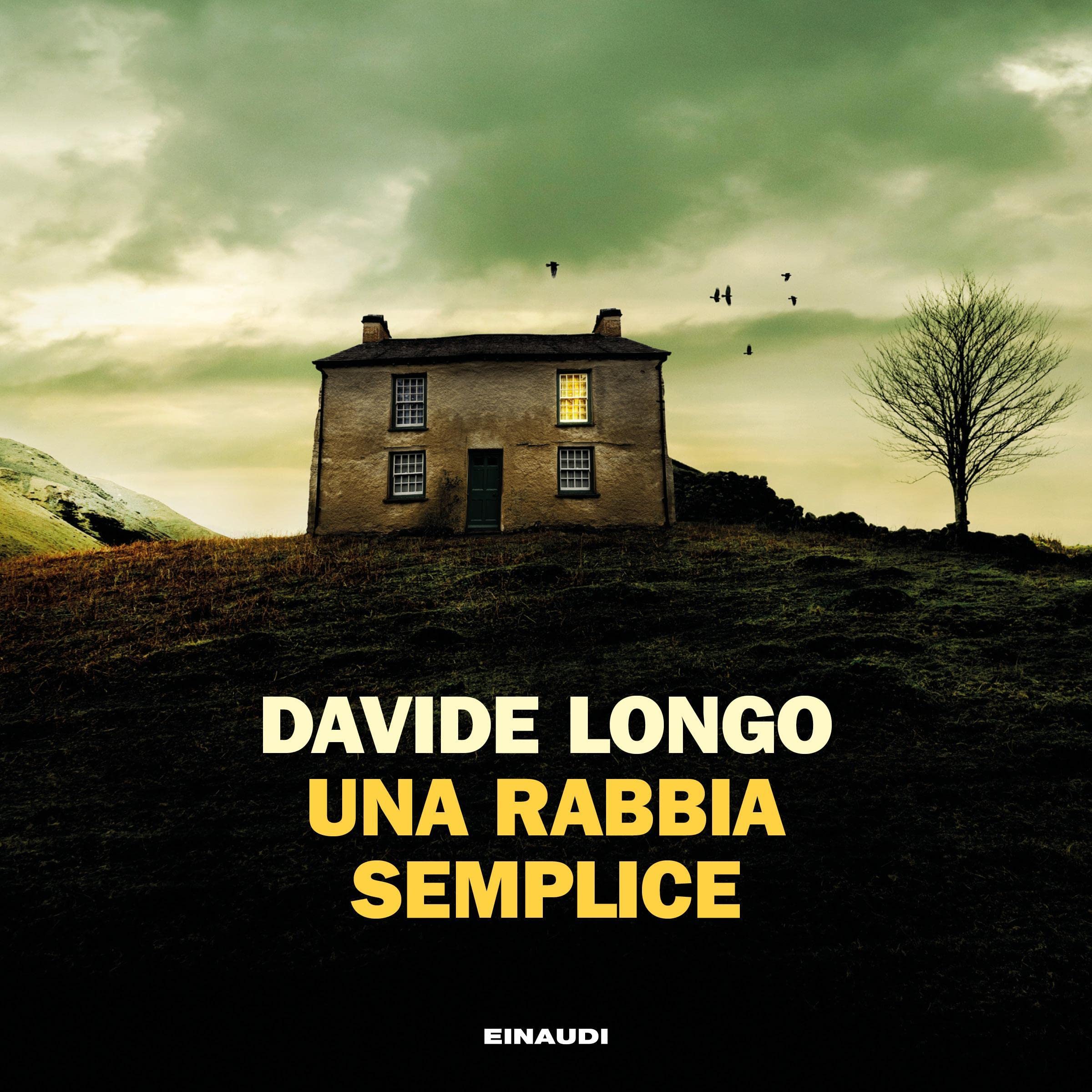 Cover art for Una rabbia semplice