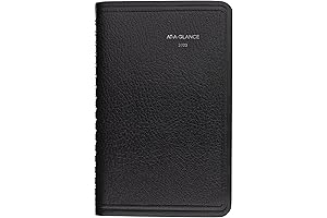 2023 DayMinder G25000 Weekly Planner, Pocket-Sized for Appointment Scheduling