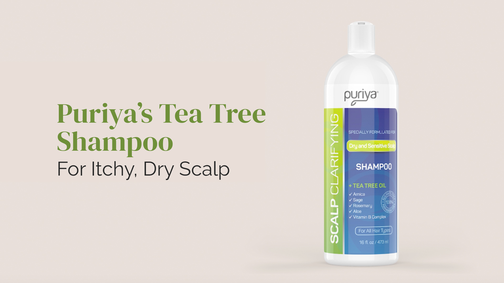 Amazon.com : Puriya Tea Tree Clarifying Shampoo. Plant Rich Dry