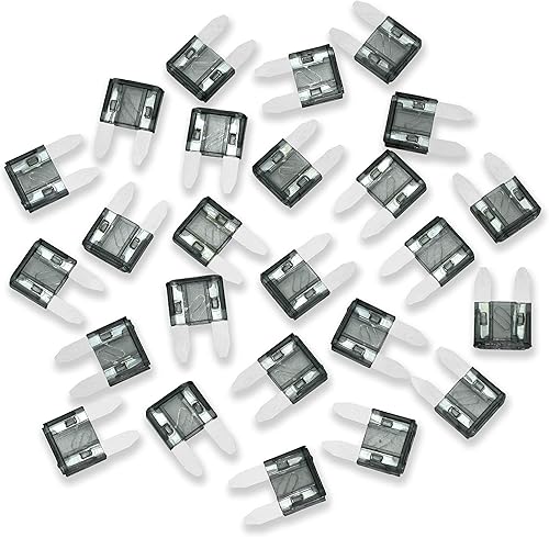 Conext Link Fusible ATM2-25 ATM Paquete de 25 (2 amperios) (14222)