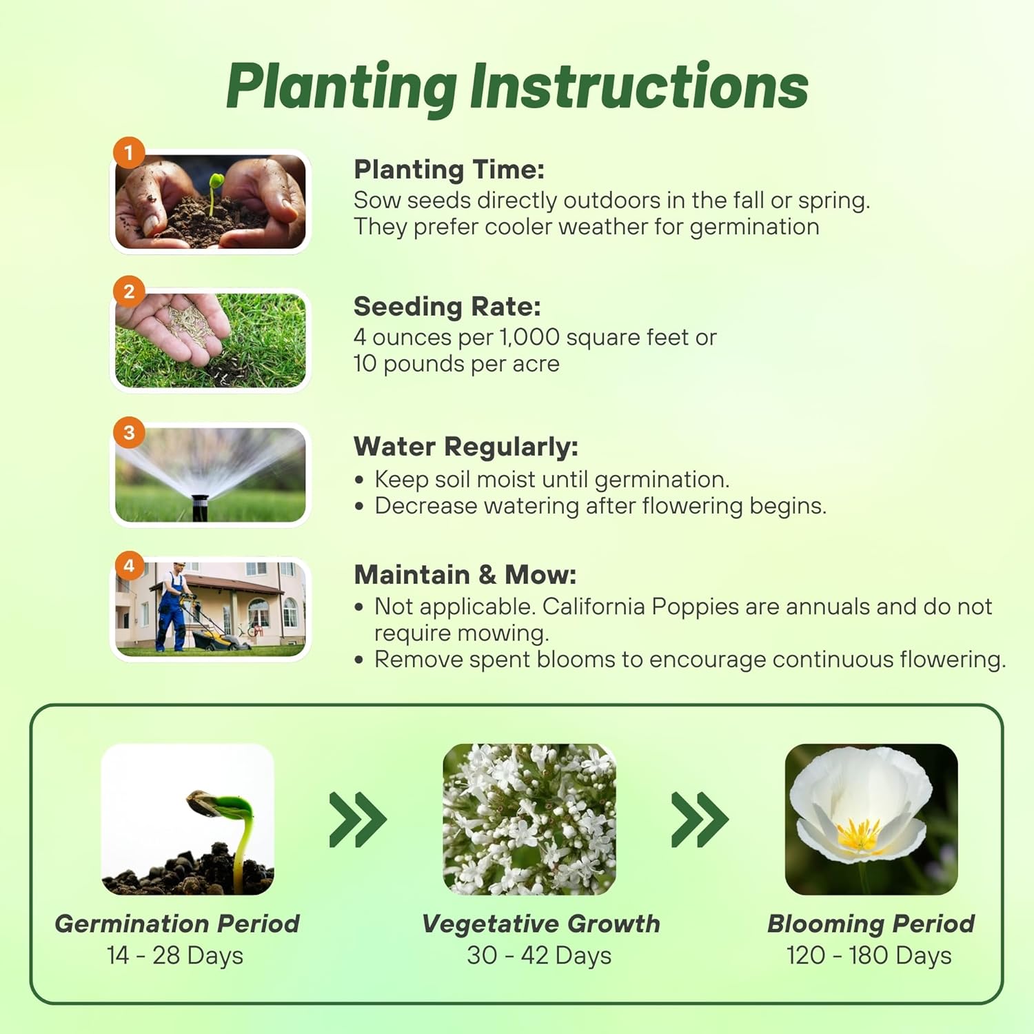 Outsidepride White Linen California Poppy Seeds - 1 Lb. Annual, Low Maintenance & Drought Tolerant Wildflower Seeds for Planting Vibrant Spring Blooms for Pollinator Gardens & Wildlife Habitats