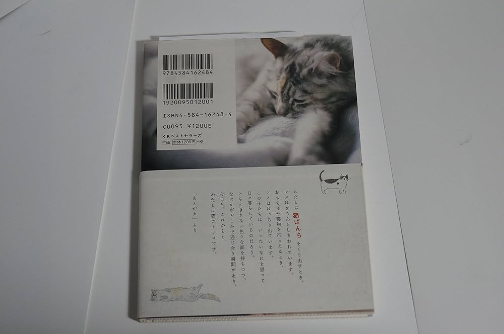 一寸先は猫 いちごのせ猫 250616 - YouTube