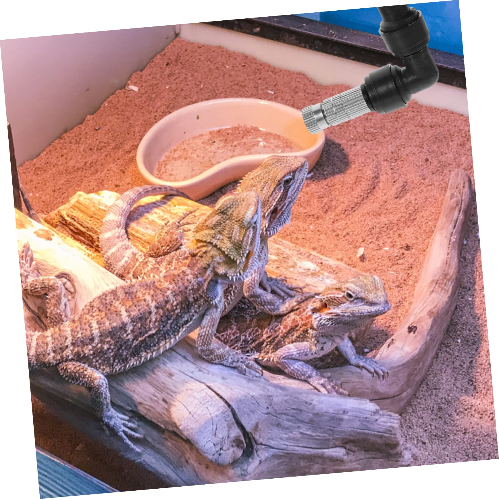 BESPORTBLE 5piezas Rociador De Nebulización Para Reptiles Boquilla Para Humidificación De Terrarios y Jardines Para Plantas y Mascotas Exóticas