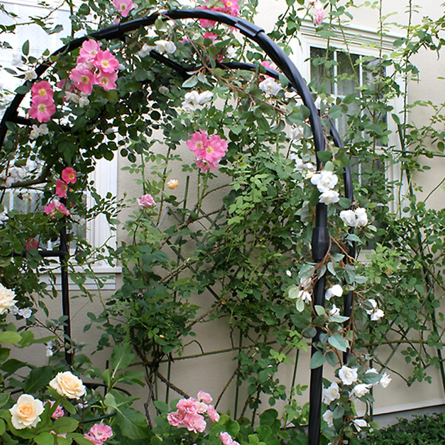 Metal Rose Arches,Weatherproof Garden Arch,Weather Resistance,Garden Arch Gazebo for Climbing Plants/Wedding Party/Decoration,Black,Various Sizes