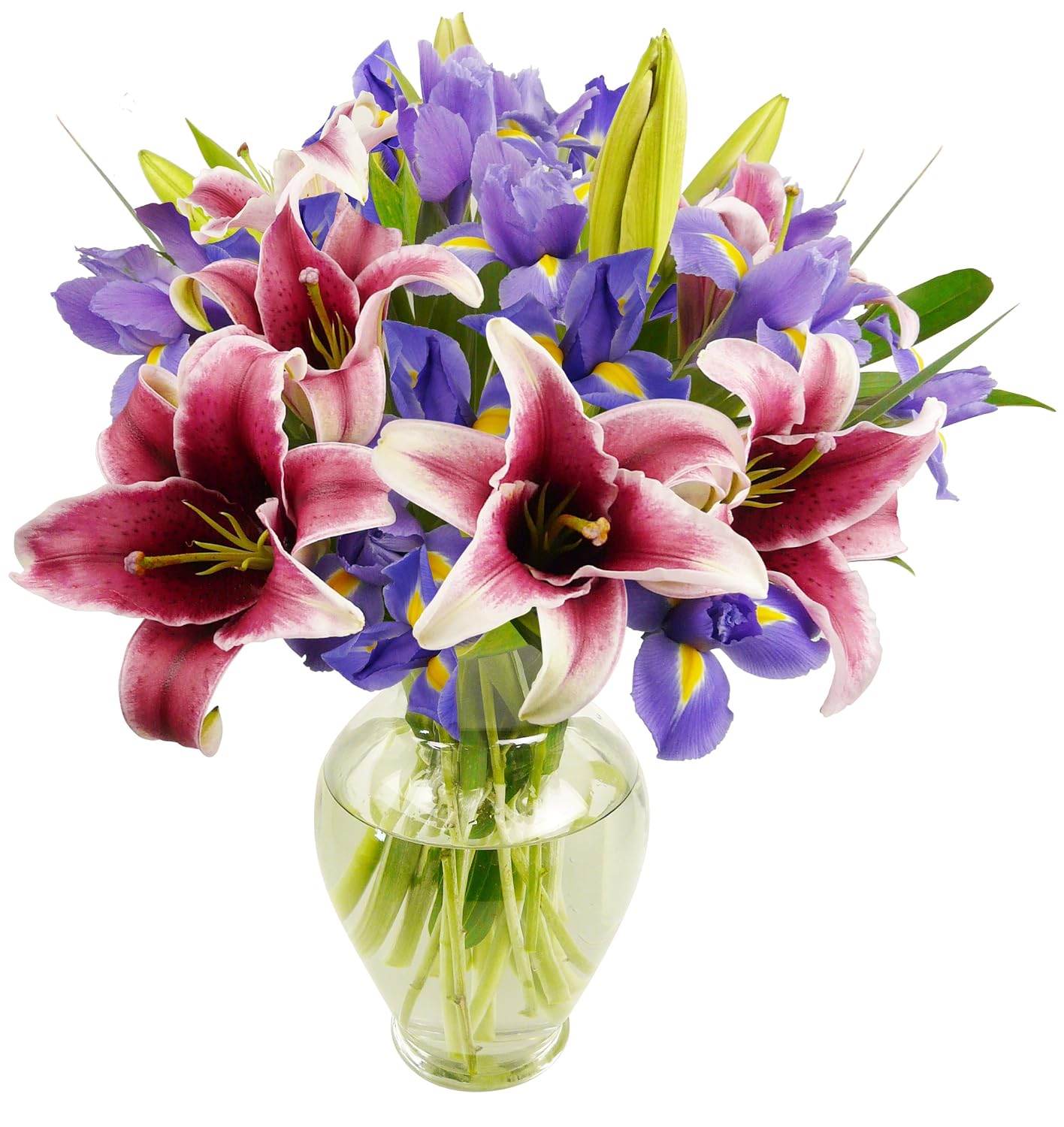 Benchmark Bouquets Stargazer Lilies and Iris, With Vase (Fresh Cut Flowers)