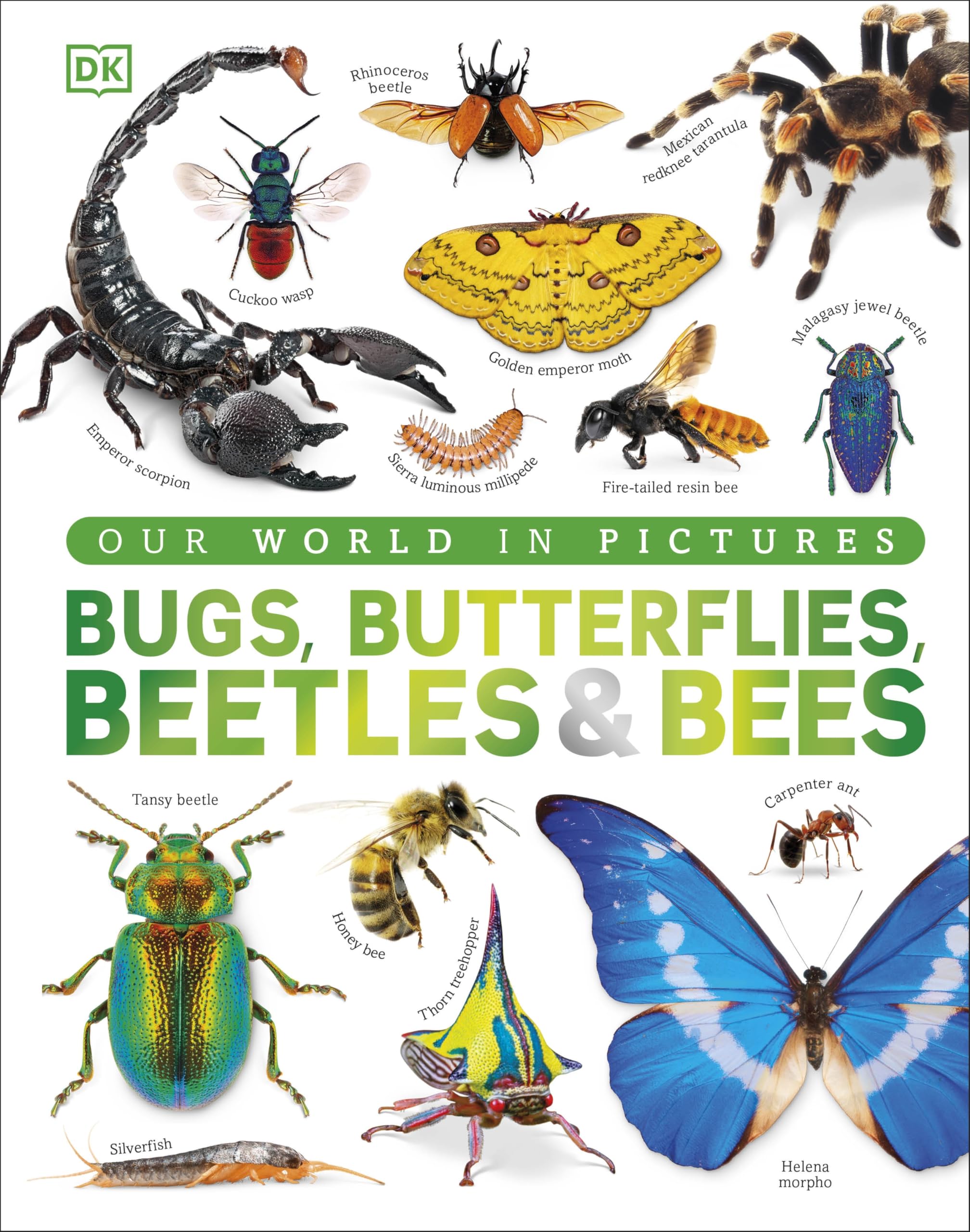 Bugs, Butterflies, Beetles and Bees: A Visual Bug and Insect Encyclopedia for Kids (DK Our World in Pictures)