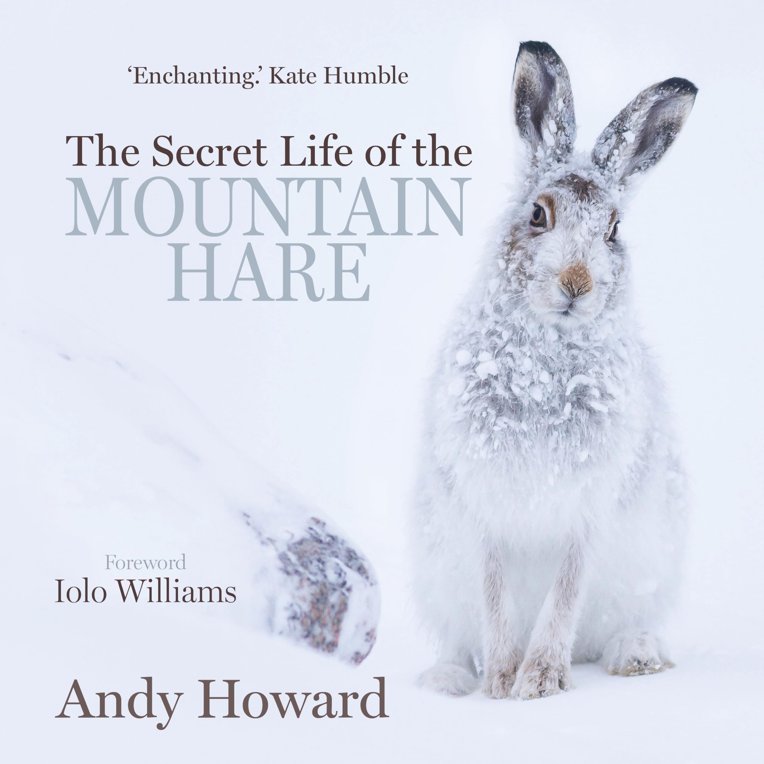 The Secret Life of the Mountain Hare