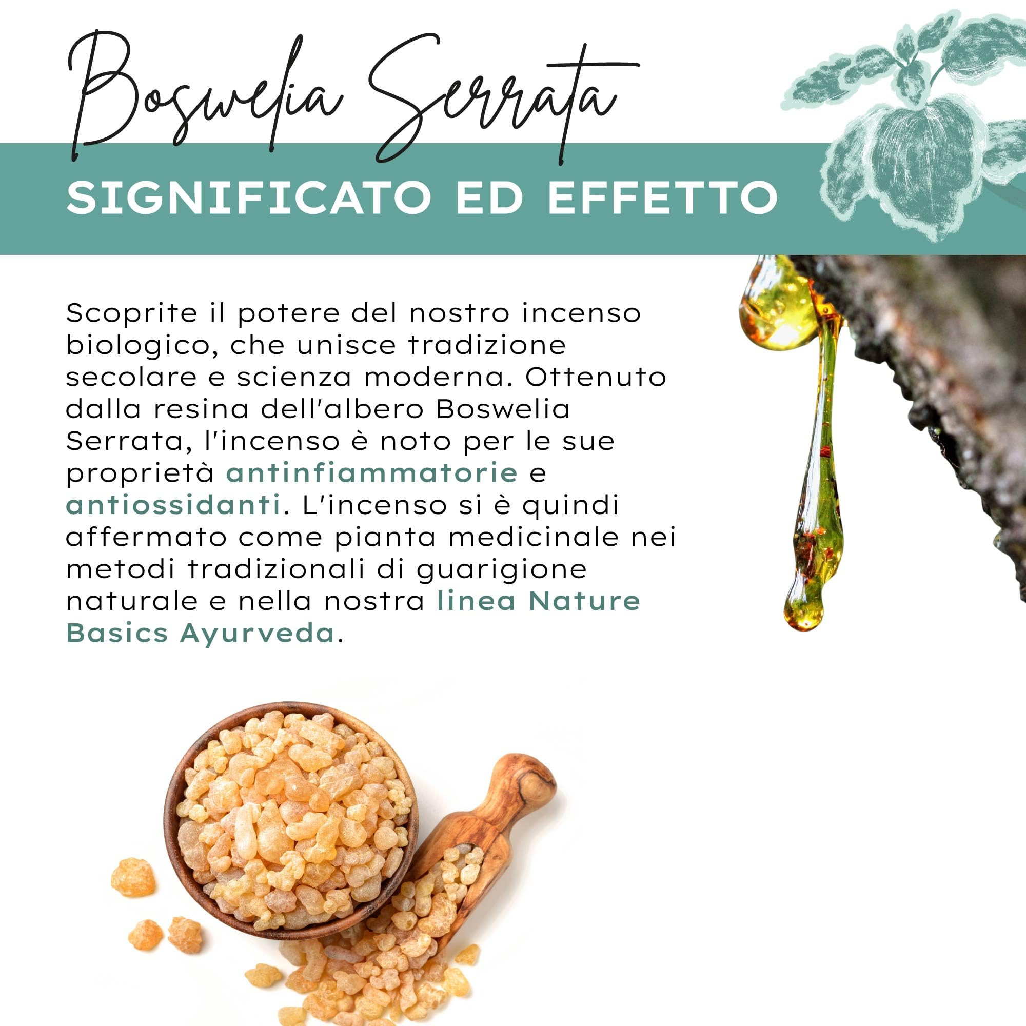 Capsule di incenso biologico - 180 capsule ad alto dosaggio / 500 mg di estratto di incenso biologico per dose giornaliera/Integratore alimentare ayurvedico di alta qualità/Vegano e sostenibile