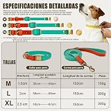 Ver la foto 4