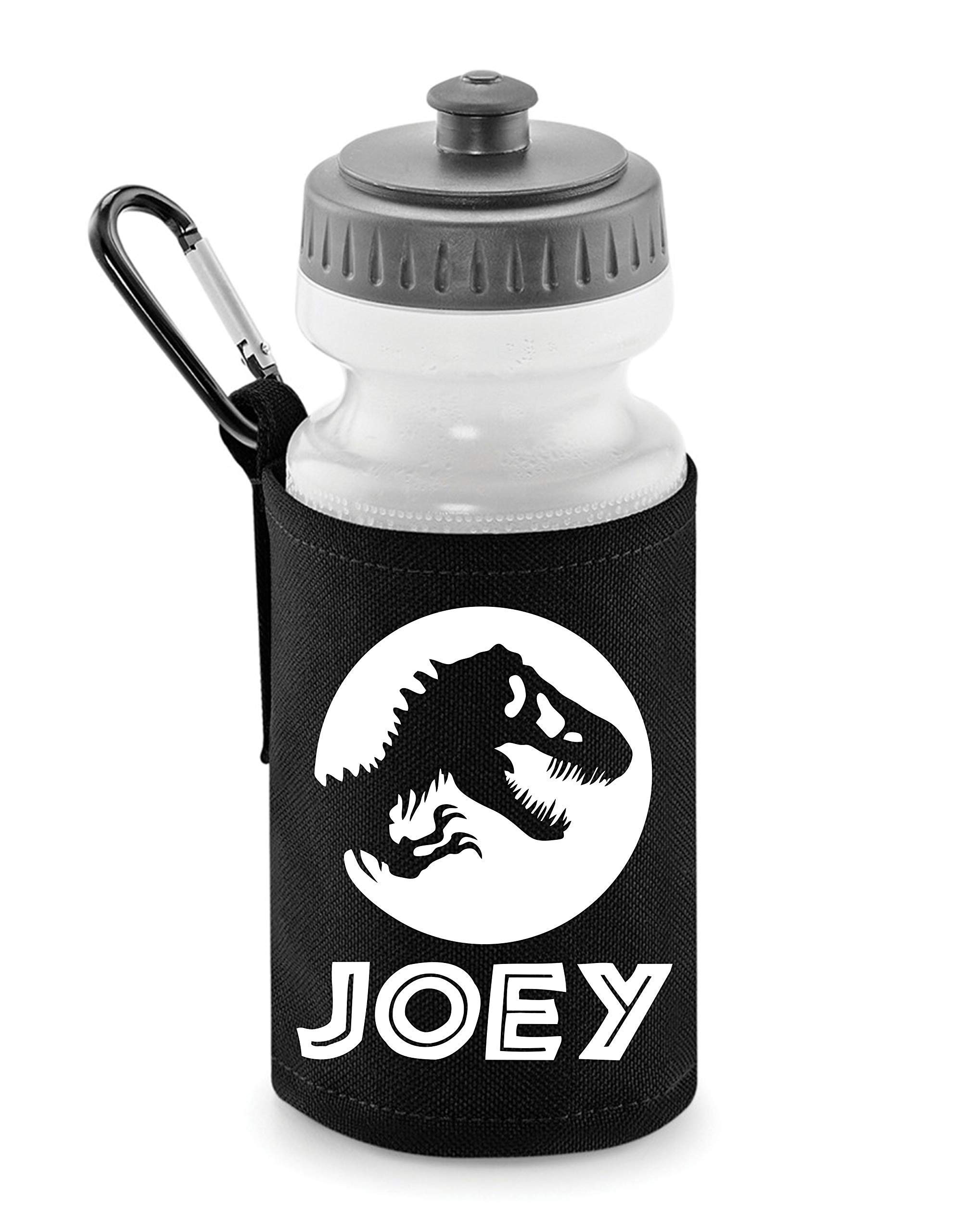 Kids Dinosaur water bottle