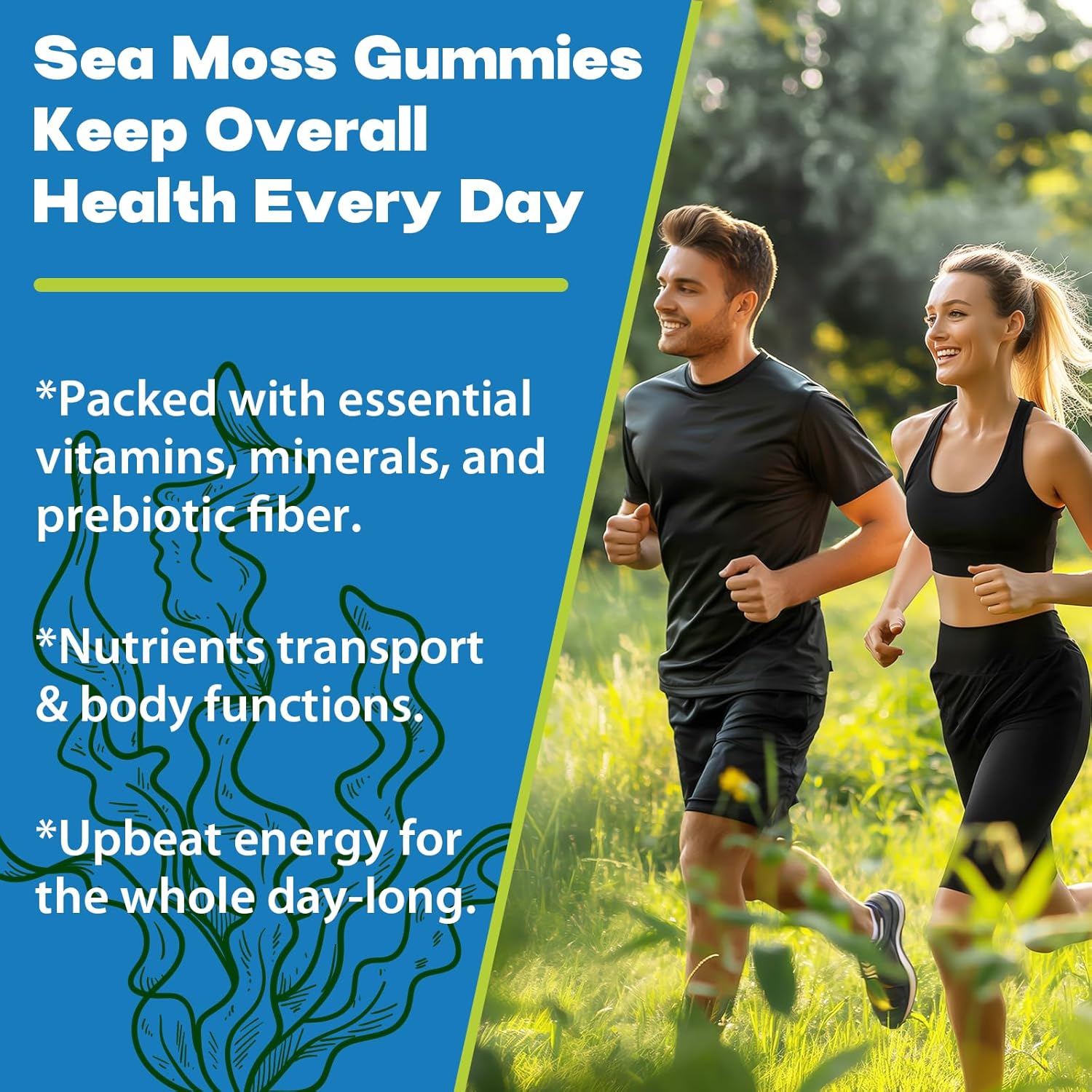 Sea Moss Gummies, 3100mg Irish True Sea Moss Seamoss Gummies for Women & Men with Bladderwrack, Burdock Root, Elderberry Vitamin C and Zinc for Detox Cleanse, Immune, Skin, Digestive, Organic, 120Ct - Image 7