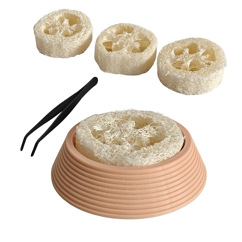 Bebedouro para Insetos de Alimentação com Inserções de Bucha Vegetal e Pinça JINYOND PET0005RE – Conjunto com 6 Peças