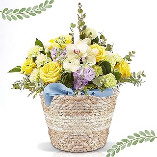 Plante Naturels Panier, Panier de jardinière en jonc de mer Panier Plante Seagrass Pot de Fleurs Tissé Panier, pour Décoration Intérieure ou Extérieure (Blanc)