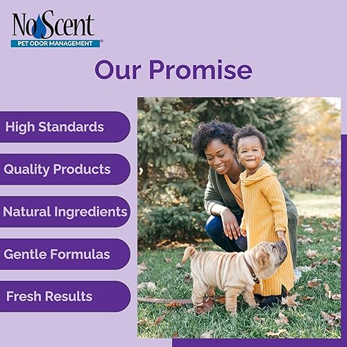 Miniatura 8 de Limpiador de manchas sin olor para tapicería de alfombras y muebles de tela para olores húmedos de perros, aerosol de gatos, olor de mascotas,