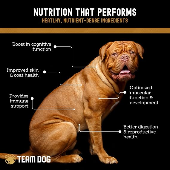 TEAM DOG Elite Blend High Protein, High Calorie Dog Food for Weight Gain | 30% Protein, 25% Fat, 577 Cal/Cup | Chicken Free, Sensitive Skin & Stomach | Salmon & Herring with Lentils | Dry Kibble, 33lb