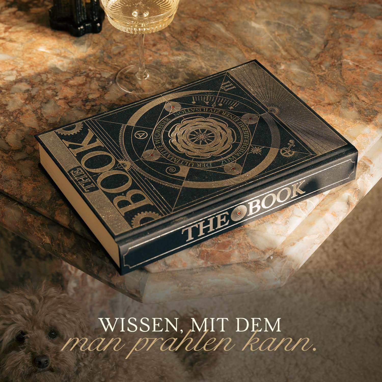 HUNGRY MINDS Deutsch The Book in einer Geschenkbox: Der Ultimative Wegweiser Zum Wiederaufbau einer Zivilisation. Inspirierende Wissenschaftsbücher – Einzigartiges Artefakt – Wissensenzyklopädie.