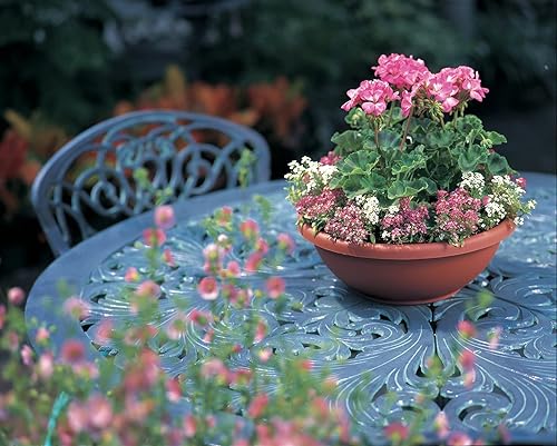 Miniatura 4 de The HC Companies - Maceta grande de 20 pulgadas para jardín, recipiente poco profundo con enchufe de drenaje para flores y hierbas de interior y