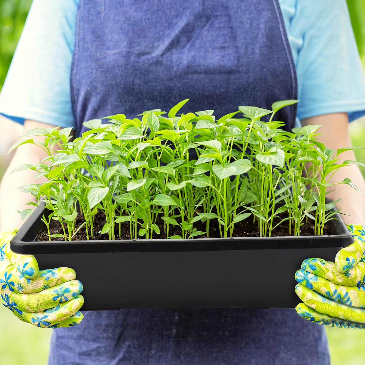 14 Pack 15 x 12 Inch Seed Starter Trays, Plastic Garden Mesh Bottom Plant Germination Trays, Black Growing Tray for Seedling, Microgreen, Soil Blocks, Wheatgrass, Hydroponic and Fodder Systems