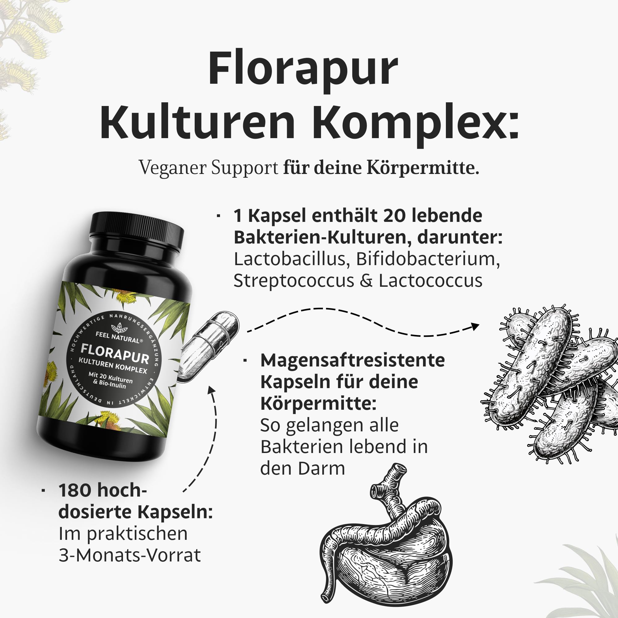 Florapur Kulturen Komplex - 180 magensaftresistente Kapseln - 3 Monatsvorrat - 20 Bakterienkulturen & Bio Inulin - 20 Mrd. KbE je Tagesdosis - Milchsäurebakterien, Bifidobakterien - vegan