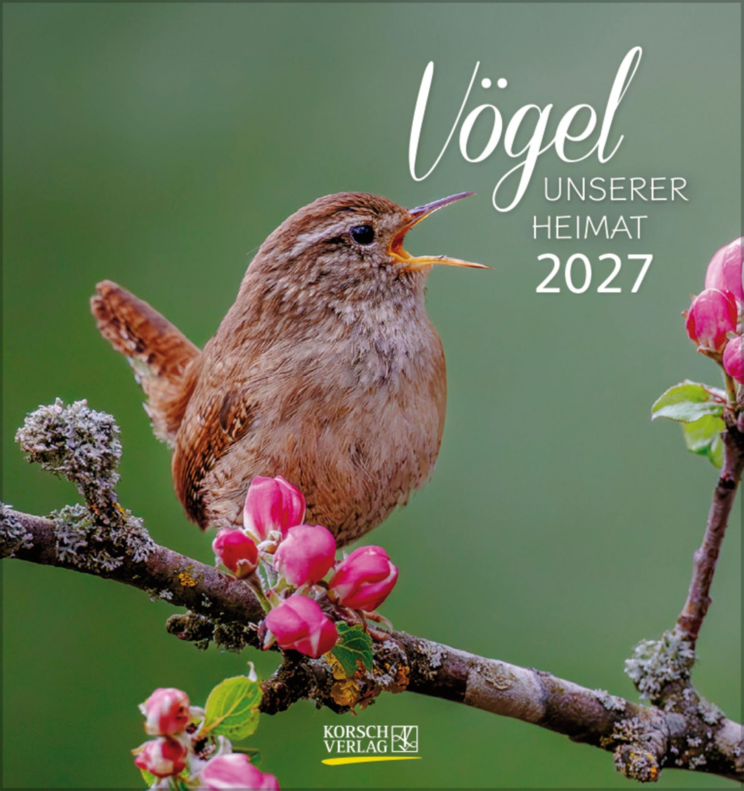 Vögel unserer Heimat 2027: Aufstellbarer Postkartenkalender mit Bildern von Vögeln in der Natur der Heimat. Tisch- und Wandkalender.