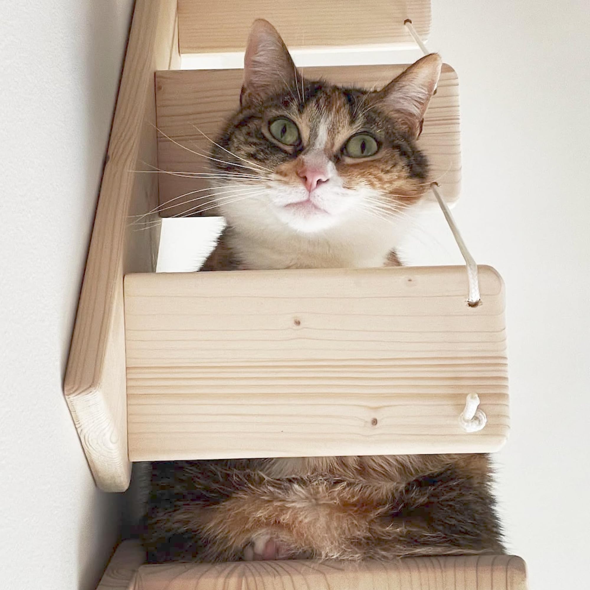 Scaletta per Gatti da Parete in Legno d'Abete Artigianale, Scala 4 Gradini Destra, per Giocare e Arrampicata per gatti con Resistenza Fino a 20 kg - Percorsipergatti