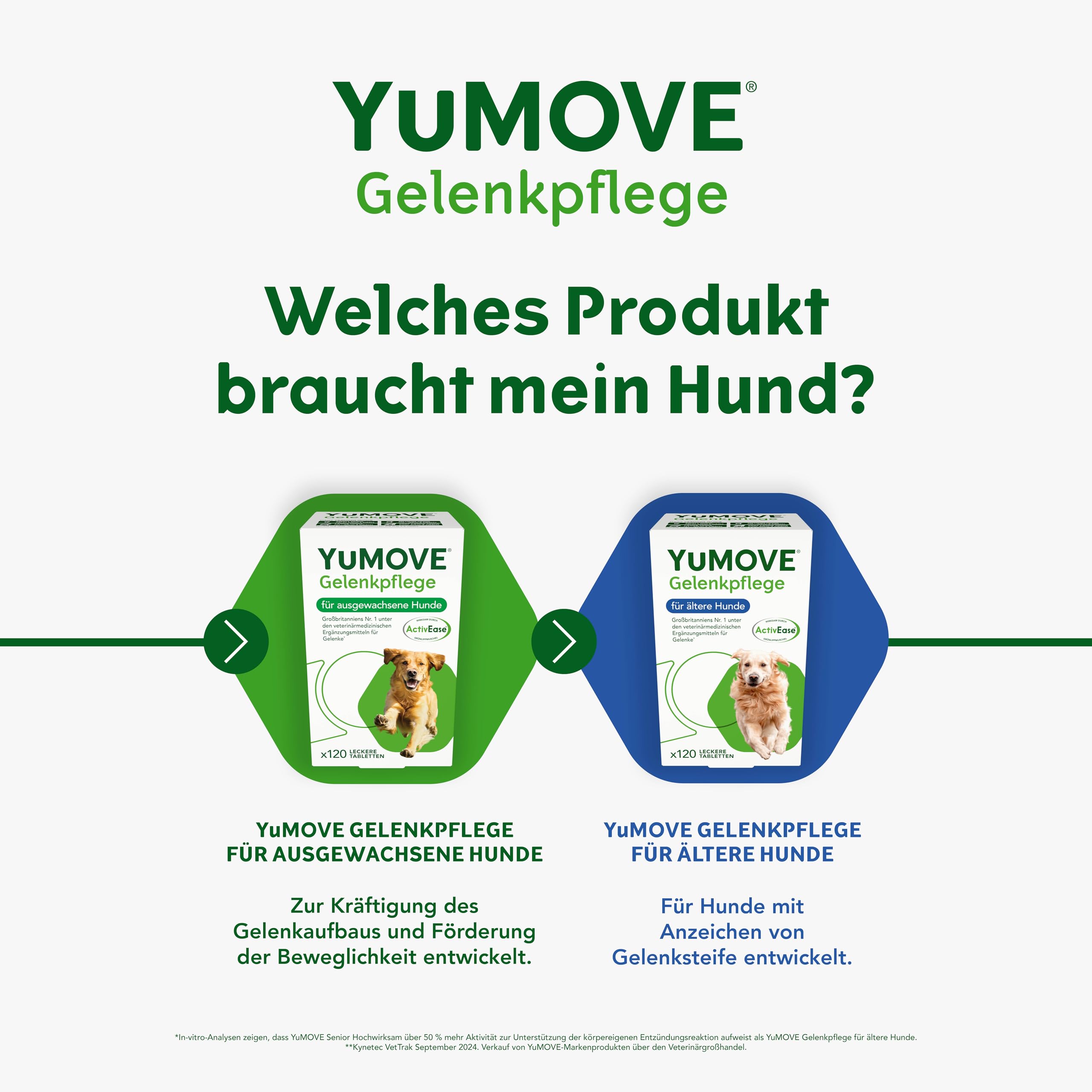 YuMOVE Gelenktabletten Hund 120 Tabletten - Gelenke & Beweglichkeit Altere Hunde 8+ Jahre - 170mg Jede Tablette Patent Angemeldet ActivEase Grünlippmuschel Hund - Mit Glucosamin, Chondoitin & Omega-3