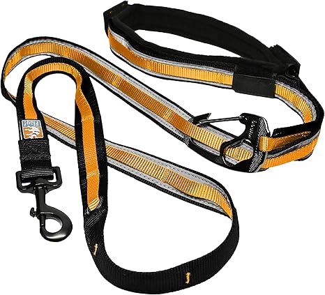 6 in 1 dog leash Clearance
