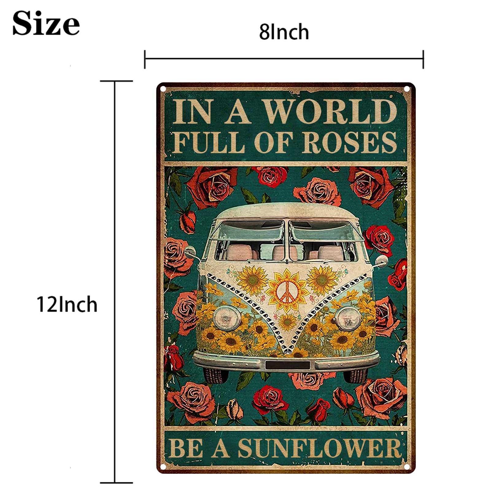 https://m.media-amazon.com/images/I/815261oF7vL.jpg